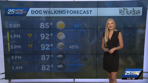 07.30 14.00.00 WPBF 25 News at 9 00am ᴺᵉʷ. Stay informed with th....ts snapshot 00.32.41.025