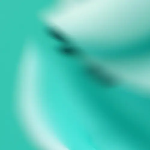 193db04f7592.webp