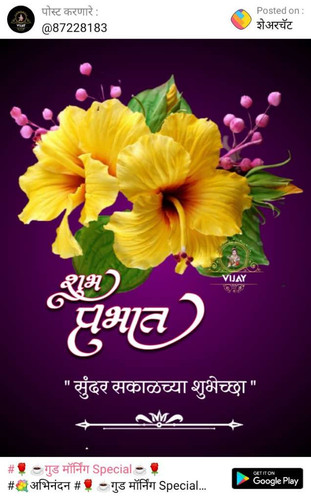 eb34592866ef.jpg