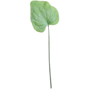 img.jpg