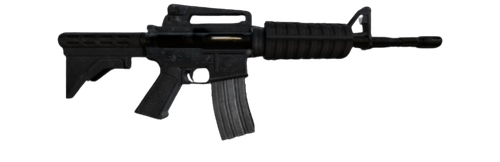 IMG 3108.png