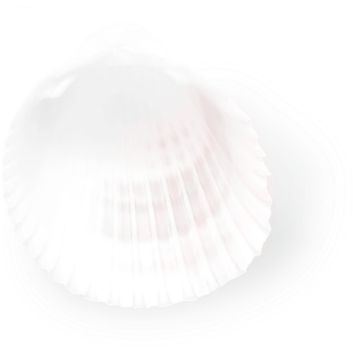 1000058694.2