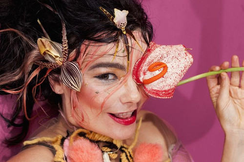 Björk by Maisie Cousins, 2017.jpg