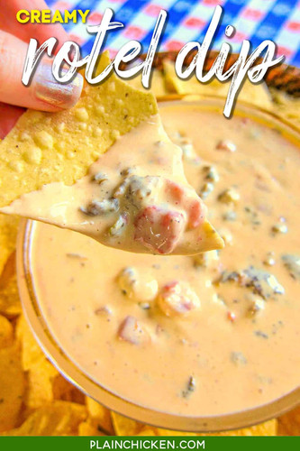 creamy rotel dip 1.jpg
