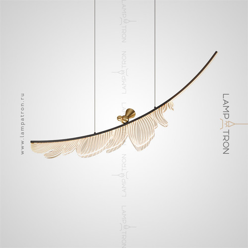 f colibri01.jpg