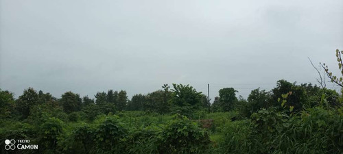 7793b6722de0.jpg