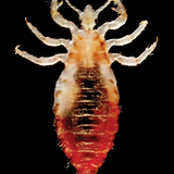6529d056be0c.png