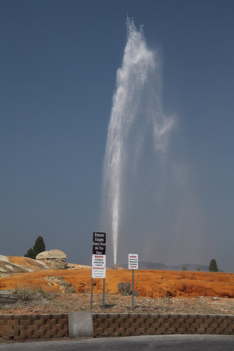 stop 6.jpg