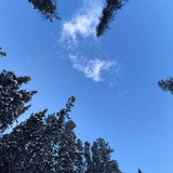 rouxrouxxx storygrab.io 1780091142(1)