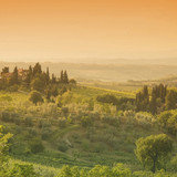 IMG 0604