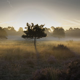 IMG 0610