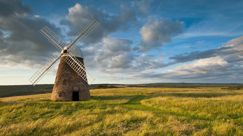 IMG 0607.jpg