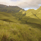 IMG 0612