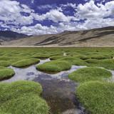 IMG 0750
