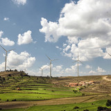 IMG 0453