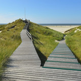 IMG 0479