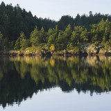 IMG 0548
