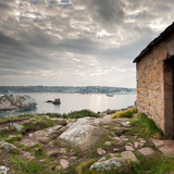 IMG 0529