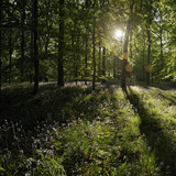 IMG 0521