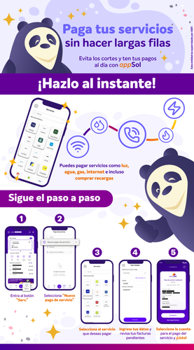 appsol Infografía PDS TUT 1.png