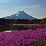 IMG 0590