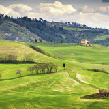 IMG 0433