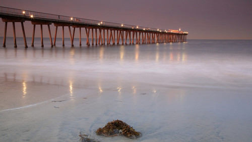 IMG 0505.jpg