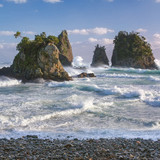 IMG 0561