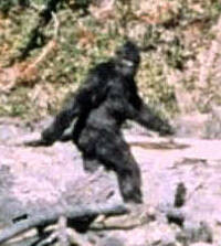 Patterson Gimlin Bigfoot (cropped).jpg