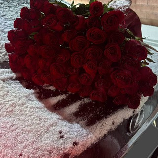 jwneH4dQfIsNODjwQ5DCYA4IE817p6QBEhLef4HaQ3XL2WlyDqRIjFCNpP2QZT7MUflM0uaDcwuB8o3JFSr1uGHdpGN79CZca b .jpg
