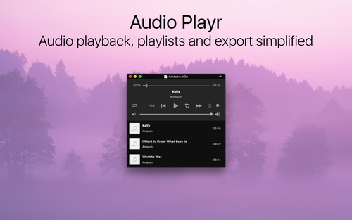 audio playr.png
