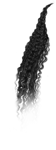 IMG 7951.png