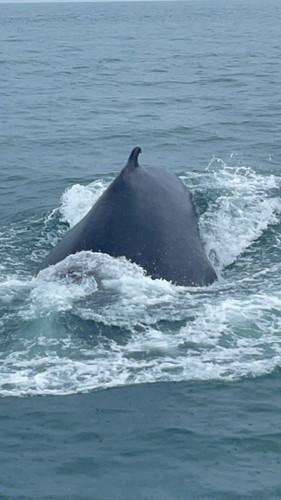 IMG 7463.jpg
