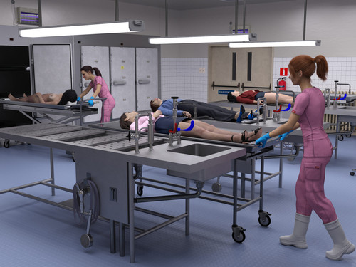 Morgue 11 Preview.jpg