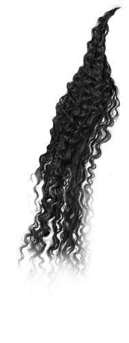 IMG 7949.png