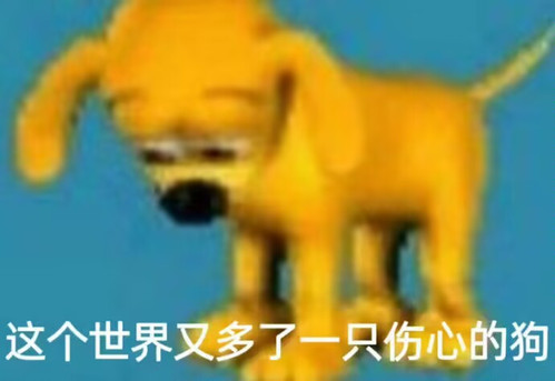 IMG 7677.jpg
