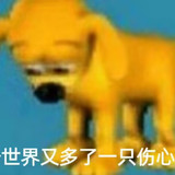 IMG 7677
