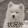 IMG 7660.png