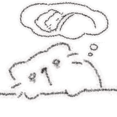 IMG 7657.png