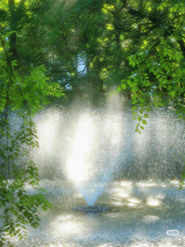 IMG 7960.jpg