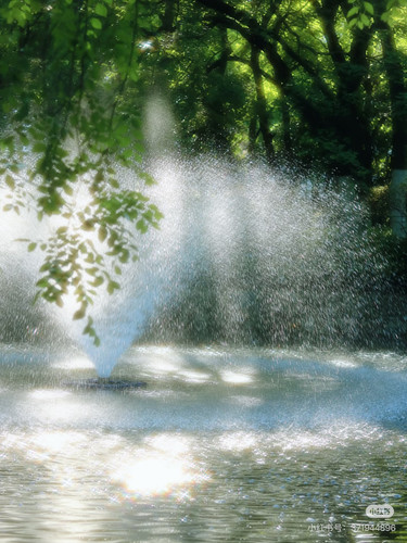 IMG 7958.jpg