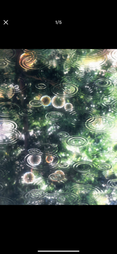 IMG 1477.png