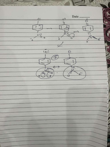 8f051ccb2f5d.1