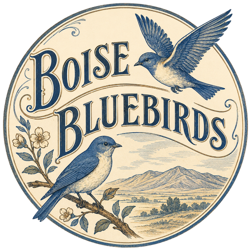 1904 Boise Bluebirds.png