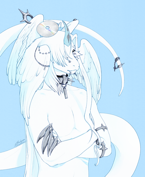 IMG 2952.png