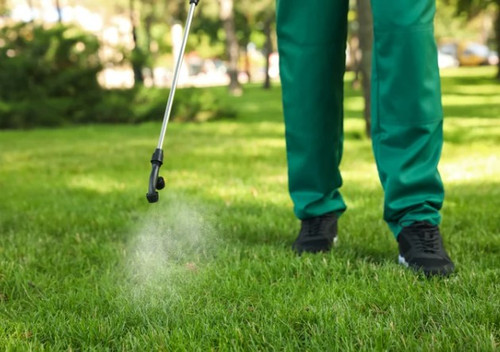 Best Service For Lawn Insect Control in Little Gransden.jpg