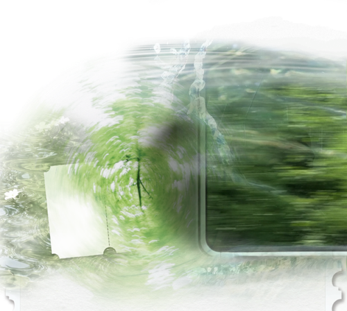 IMG 8011.png