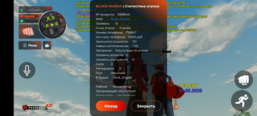 51993.jpg