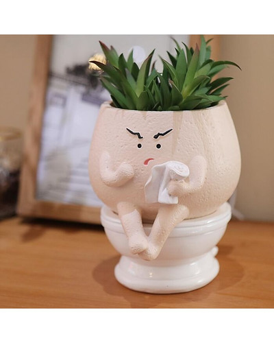 6864ef537f8f8 face planter pots funny toilet plant pot for indoor plants cute face head flower pots .jpg