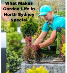 What Makes Garden Life in North Sydney Special.jpg